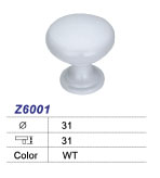 Z6001
