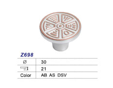 Z698